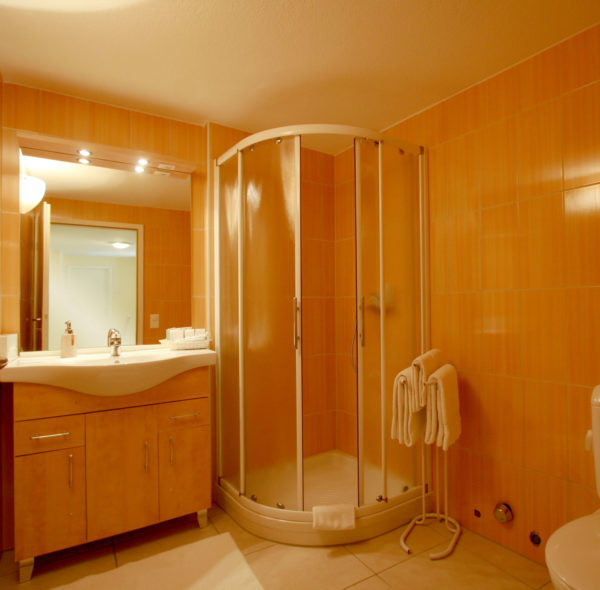 Hotel_Garni_Golf_Ascona_Depandance_2019_Wohnung3